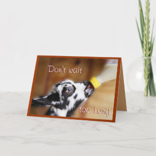 Lil Kid 4801 PL- customize any occasion Holiday Card