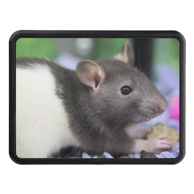 Lil rat trailer hitch cover (Front)