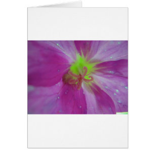 Lila gestreifes Blütenmuster mit gelber Mitte