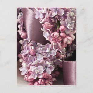 Lilac And Ribbon Curls Postcard