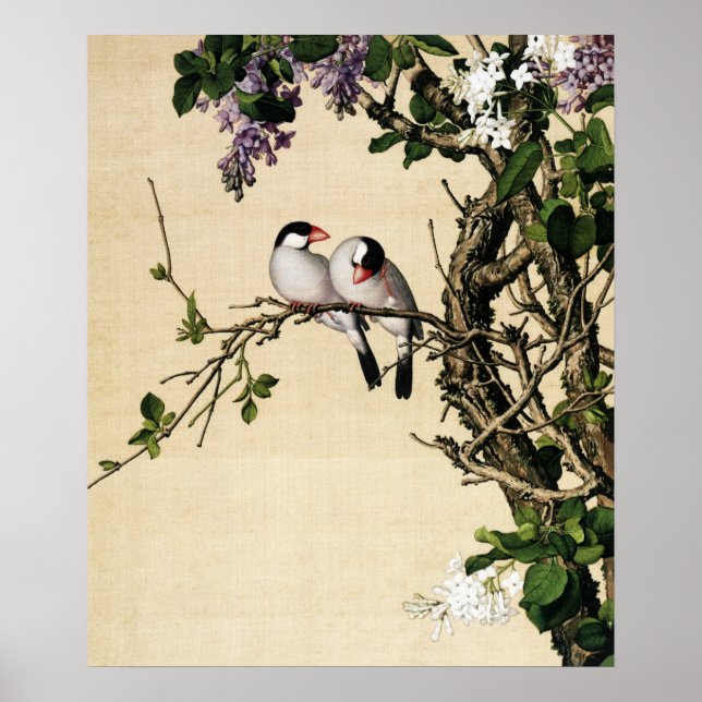 Lilac and White Syringa Fine Art Poster (Front)