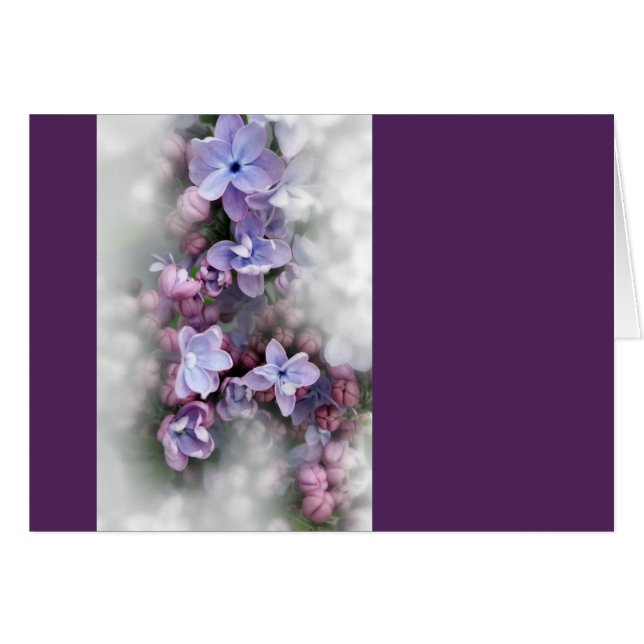 Lilac blooming (Front Horizontal)