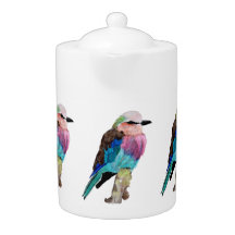 Lilac Breasted Roller Bird