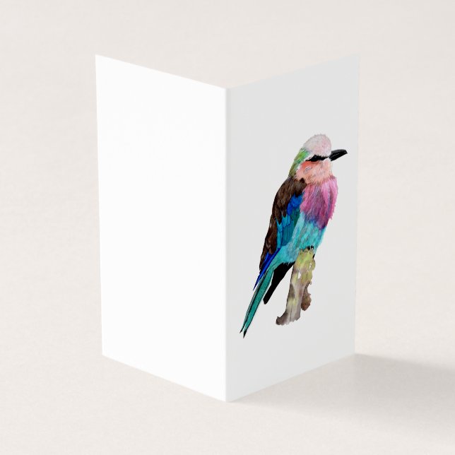 Lilac Breasted Roller Bird (Outside)