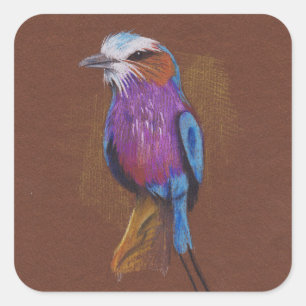 Lilac breasted roller bird illustration animal nat square sticker