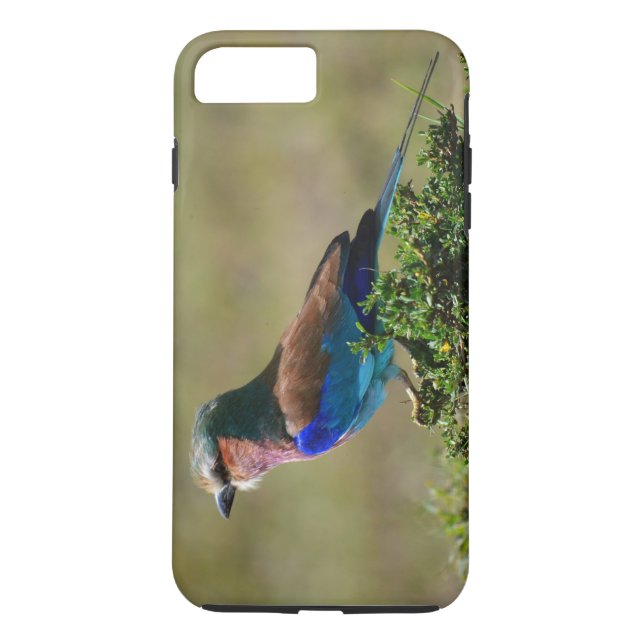 Lilac Breasted Roller Bird iPhone 7 Case (Back)