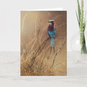 Lilac-Breasted Roller Blank Greeting Card, Denman Card