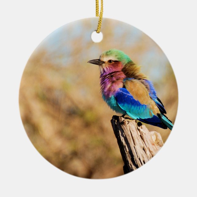 Lilac-Breasted Roller Colourful African Bird Ceramic Ornament (Front)