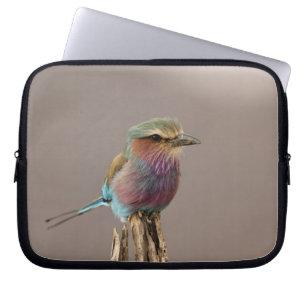 Lilac breasted Roller, Coracias caudata, Samburu Laptop Sleeve