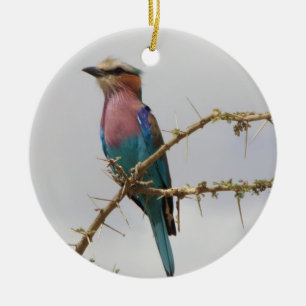 Lilac Breasted Roller Holiday Ornament