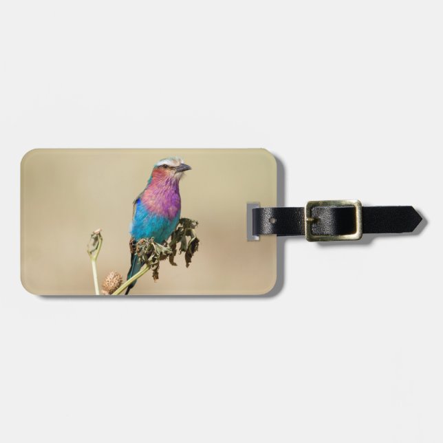 Lilac breasted Roller Luggage Tag (Front Horizontal)