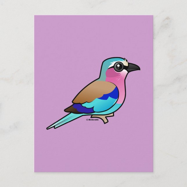 Lilac-breasted Roller Postcard (Front)