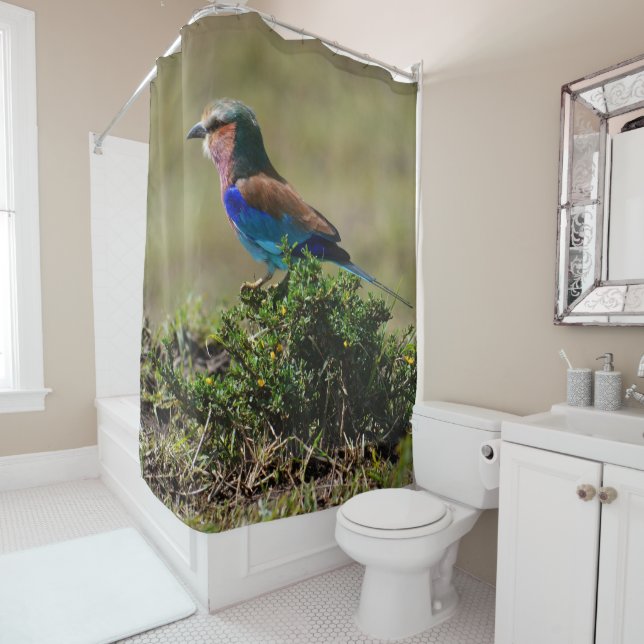 Lilac Breasted Roller Shower Curtain (In Situ)