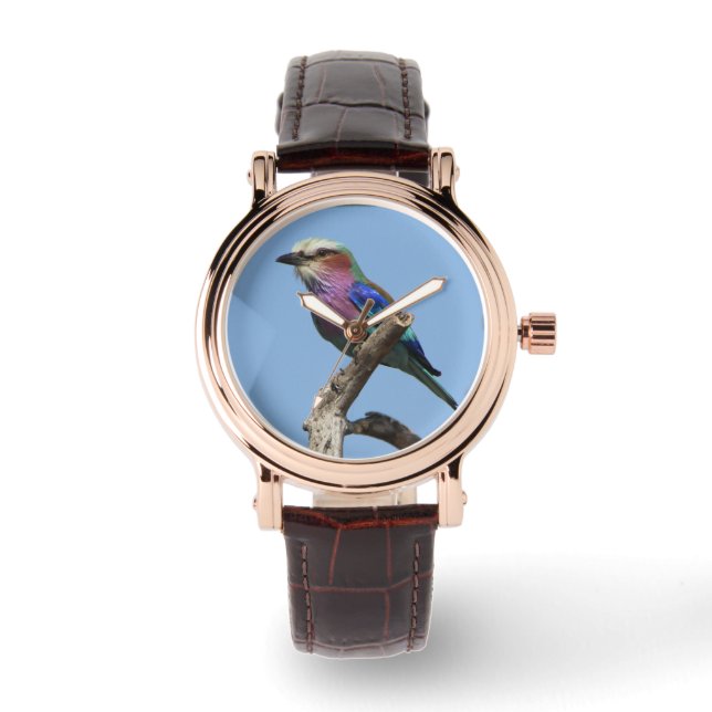 Lilac Breasted Roller Watch (Front)