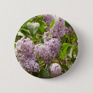 Lilac Bush Beautiful Purple Spring Flowers 2 Inch Round Button