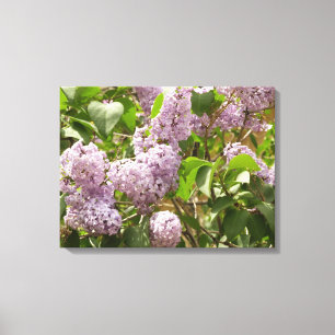 Lilac Bush Beautiful Purple Spring Flowers Canvas Print