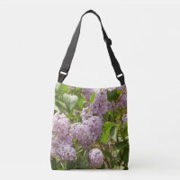 Lilac Bush Beautiful Purple Spring Flowers