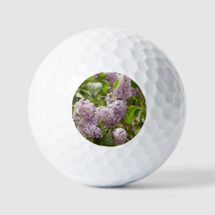 Lilac Bush Beautiful Purple Spring Flowers Golf Balls