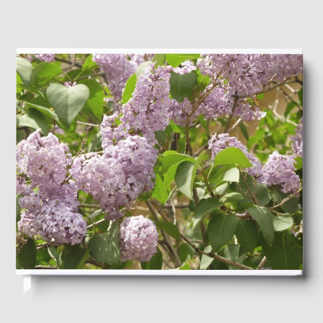 Lilac Bush Beautiful Purple Spring Flowers Guest Book (Front)