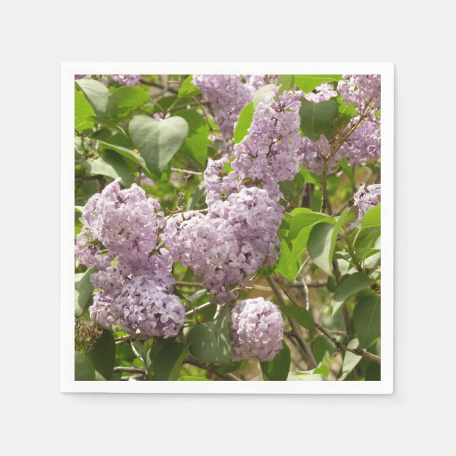 Lilac Bush Beautiful Purple Spring Flowers Napkin (Front)