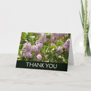 Lilac Bush Thank You Card