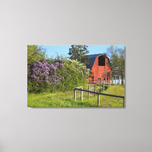 Lilac bushes in bloom and magpies in the trees canvas print