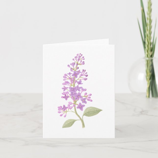 Lilac Card (Front)