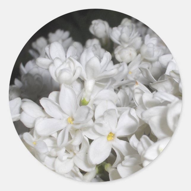 Lilac Classic Round Sticker (Front)