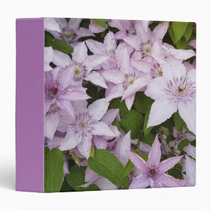 lilac ,clematis, beautiful, flower,lilac flower, binder