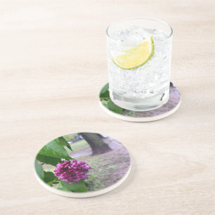 lilac flower in the rain coaster