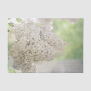 Lilac Flower Soft White Country Botanical Tissue Paper