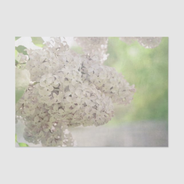 Lilac Flower Soft White Country Botanical Tissue Paper (Front)