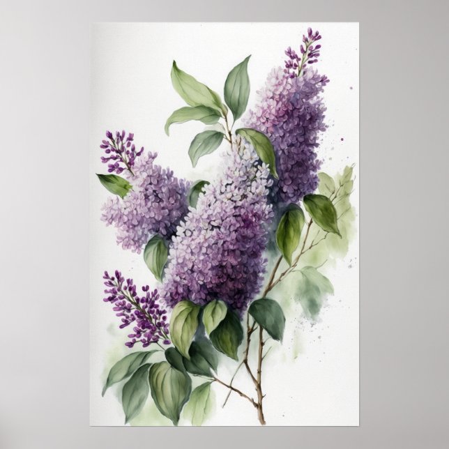 Lilac Flowers Art Print Poster (Front)