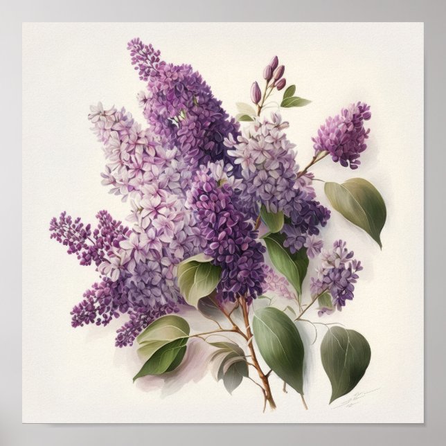 Lilac Flowers Art Print Poster (Front)