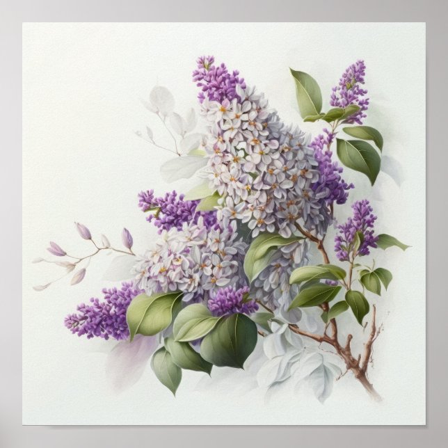 Lilac Flowers Art Print Poster (Front)
