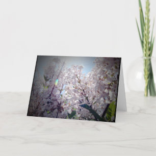 Lilac Flowers Card