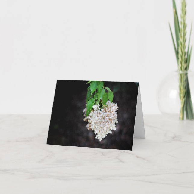 Lilac Heart Note Cards (Front)