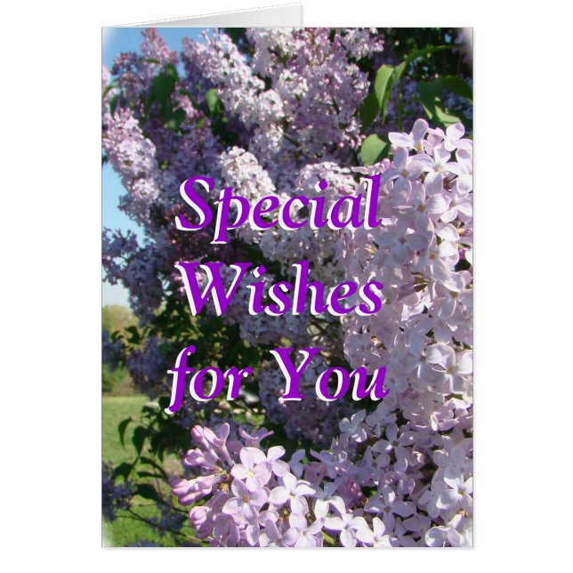 Lilac in bloom-customize for any occasion (Front)