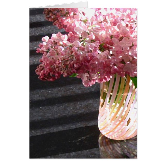 Lilac 'Maiden's Blush' (Devant)