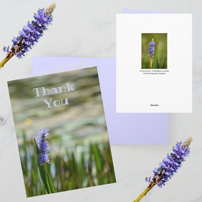 Lilac Purple Pickerelweed Flower Monet Inspiré (Créateur téléchargé)