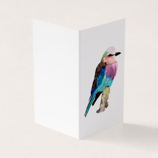 Lilac Roller Breast Bird