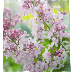 Lilac shower curtain