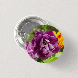 Lilac tulips on a sunny day 1 inch round button