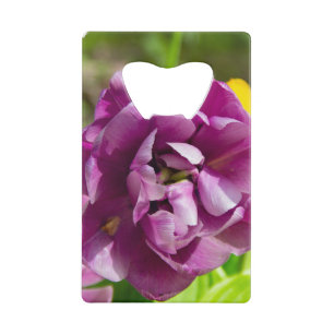 Lilac tulips on a sunny day credit card bottle opener
