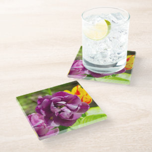 Lilac tulips on a sunny day glass coaster