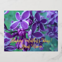 Lilac variety of colours 