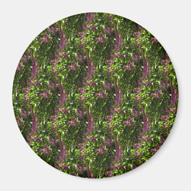 Lilac waterfalls.... magnet (Front)