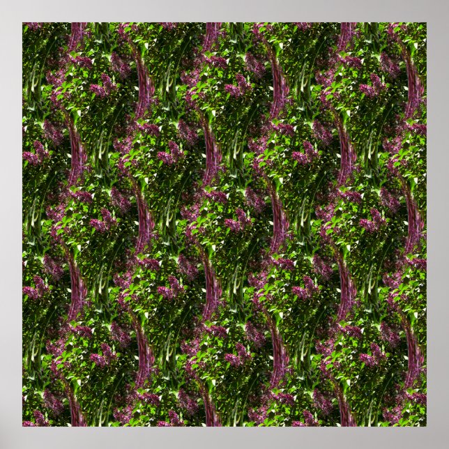 Lilac waterfalls.... poster (Front)
