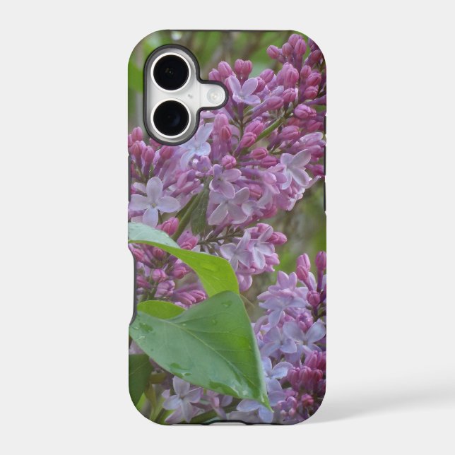 Lilacs (Back)