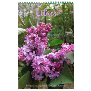 Lilacs---ALL LILACS!!  photo calendar